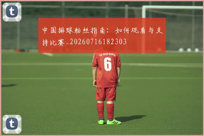 中国排球粉丝指南:如何观看与支持比赛_20260716182303