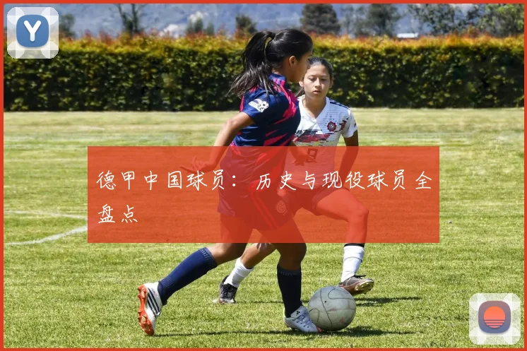 德甲中国球员：历史与现役球员全盘点