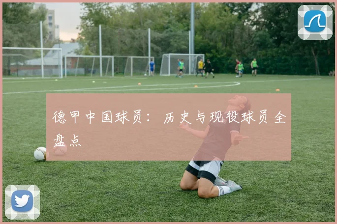 德甲中国球员:历史与现役球员全盘点