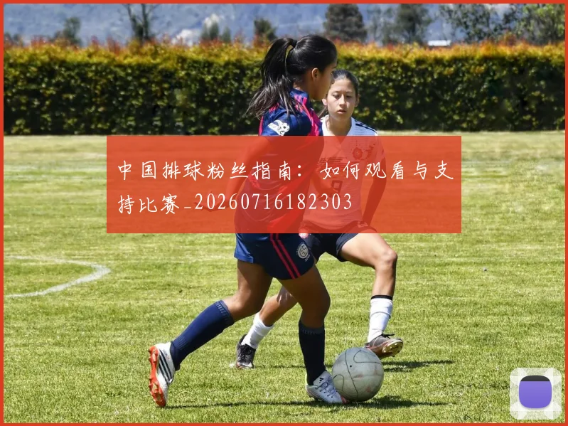 中国排球粉丝指南:如何观看与支持比赛_20260716182303