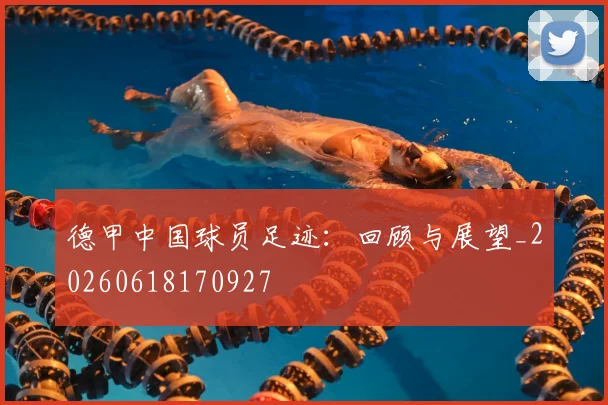 德甲中国球员足迹：回顾与展望_20260618170927